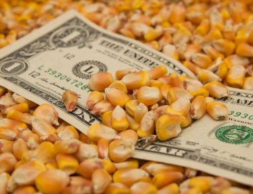 Did Crop Insurance Trigger in 2023?