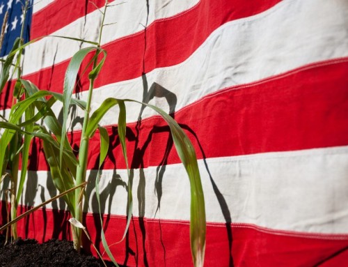 Reduced Crop Insurance Premium for Farmers in 2026