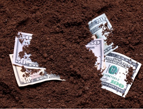 2025 Corn ECO Recap