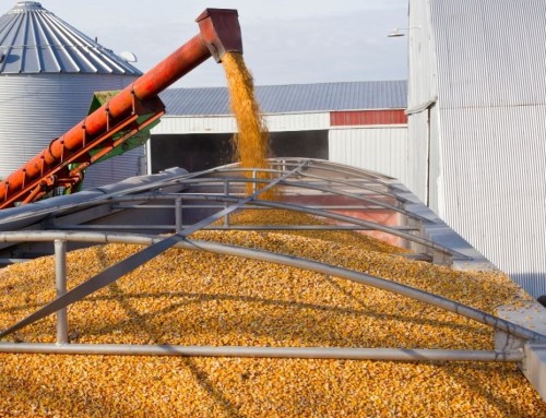 2025 Expected vs. Final County Yields